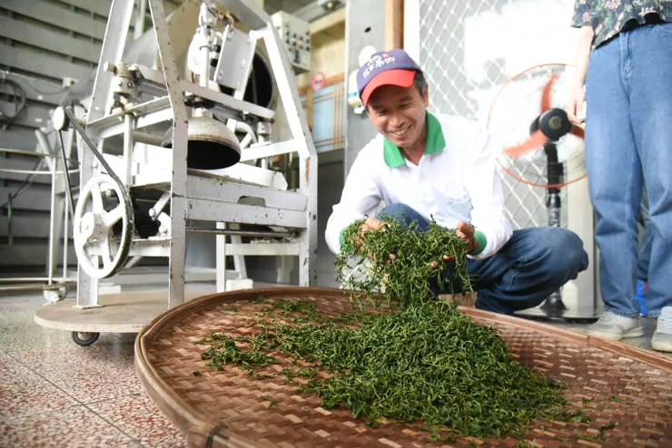 綠光農園創辦人陳陸和先生。（筆者攝影）