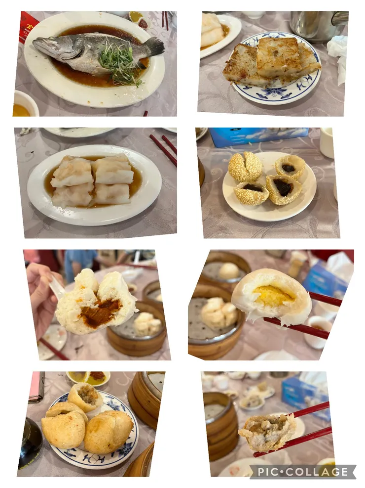 左清蒸鱸魚、蝦仁腸粉、叉燒包、炸水餃;右蘿蔔糕、芝麻球、奶皇包、芋泥球。