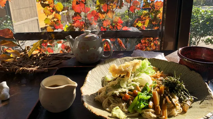 山菜おろしそば ／ Sansai oroshi soba：野菜蕎麥麵。PH 攝於そば・山菜洞 しを里，2024 / 11 / 22。