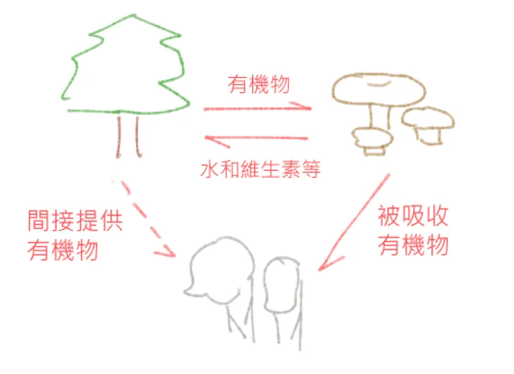 三方共生關係圖,RS 自行繪製