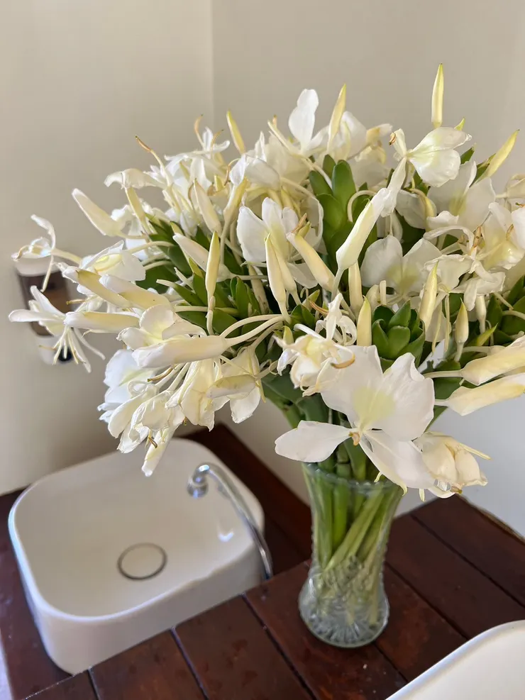 洗手台的野薑花