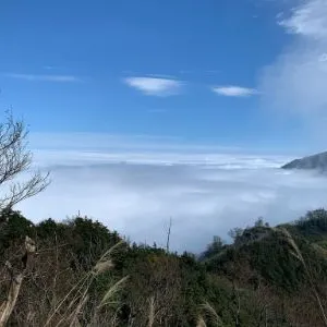 Cc的沙龍
