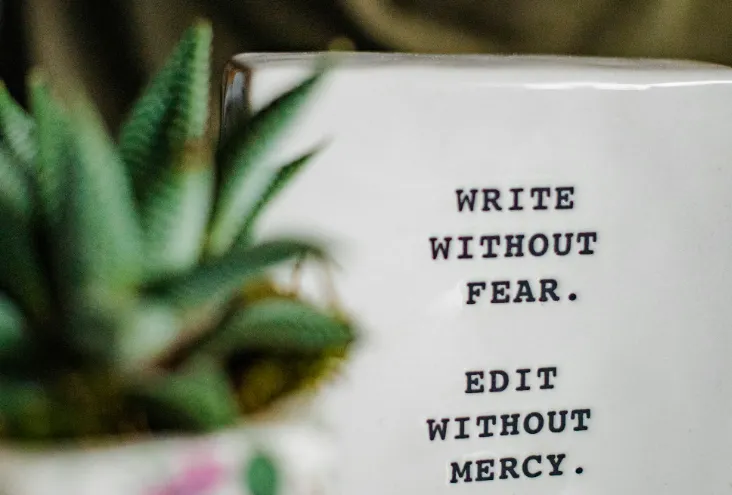 Write without fear  Edit without mercy
