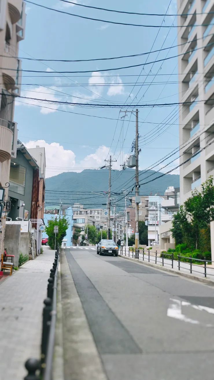 某一日散步的日常