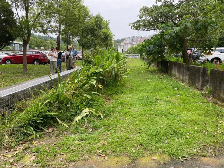 原本該維持明渠狀態，卻被封蓋的路段
