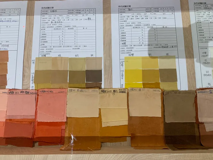 老師寫下的「重複染色試驗記錄」