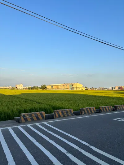 自由伴隨著責任？