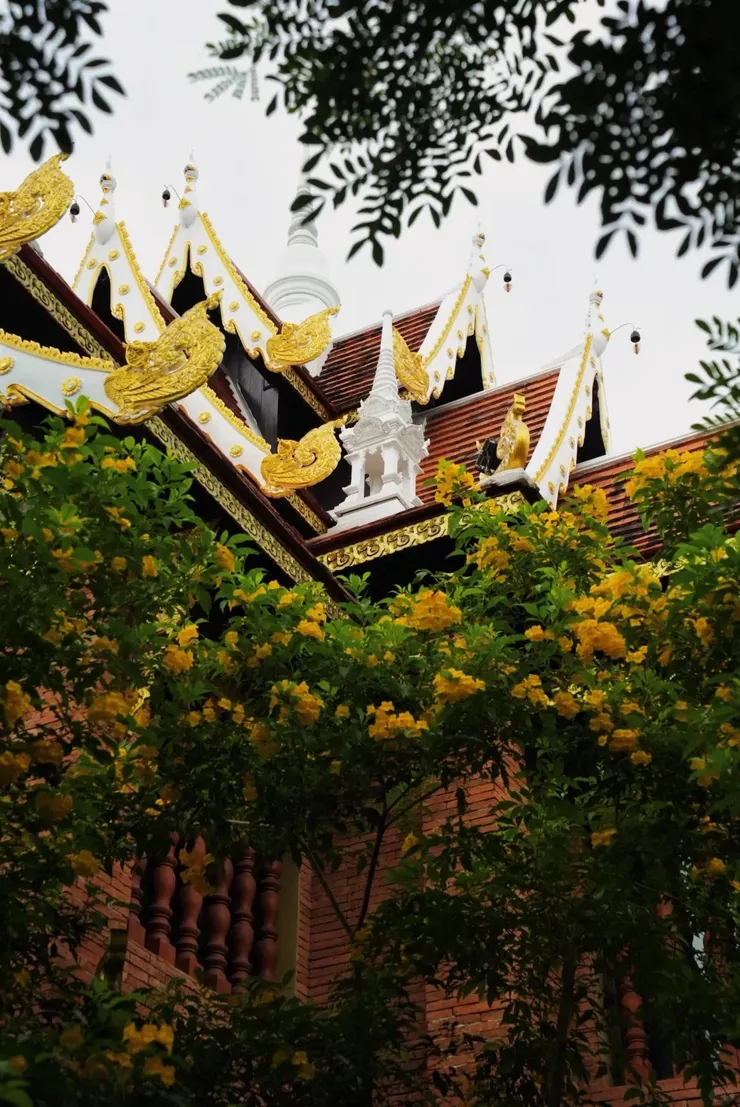 第一次體驗清邁深度旅遊,漫遊泰北秘境,感受慢活時光與在地泰式風情