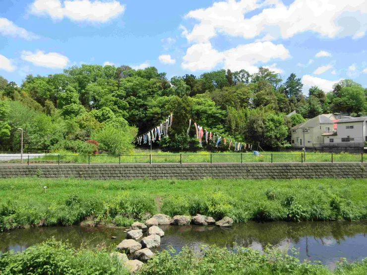 途中看到漂亮的鯉魚旗