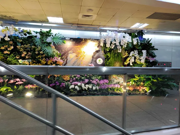 捷運站內的植被