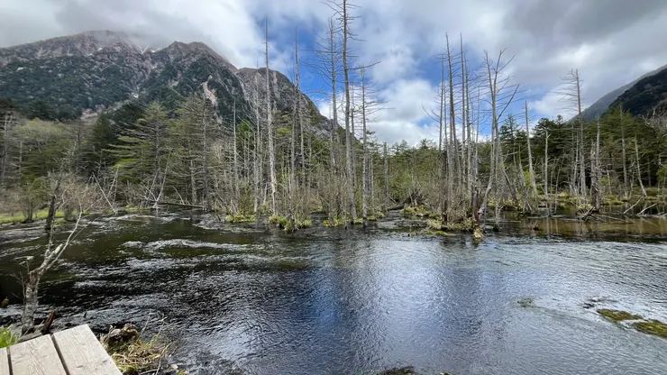 喜歡這片濕原的人意外地多。