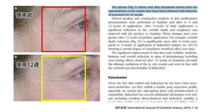 補骨脂酚保養功效有哪些？深入挑戰「補骨脂酚」的保養計畫