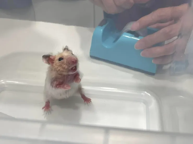 這是甚麼地方!!!!!!(害怕