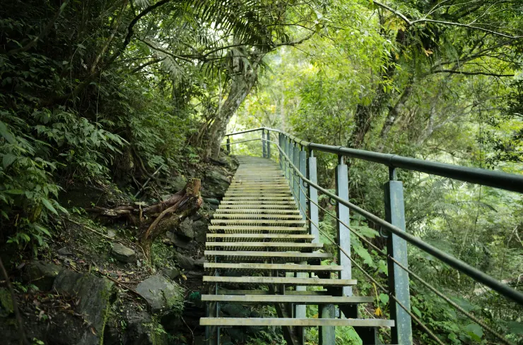 雖說沿山步道比較累人,但和沿溪步道有著不一樣的美。