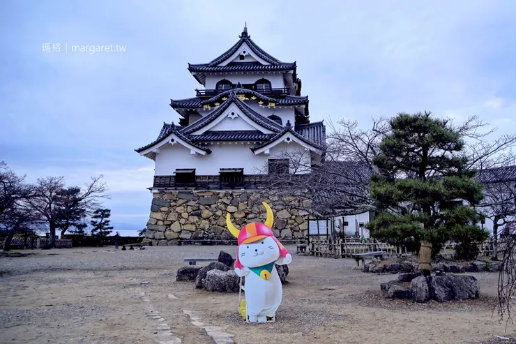 要不是大隈重信在彥根城拆除前剛好路過覺得拆掉可惜奏請天皇保留下  現在也不會有彥根貓  圖片來源：https://margaret.tw/hikone-castle/