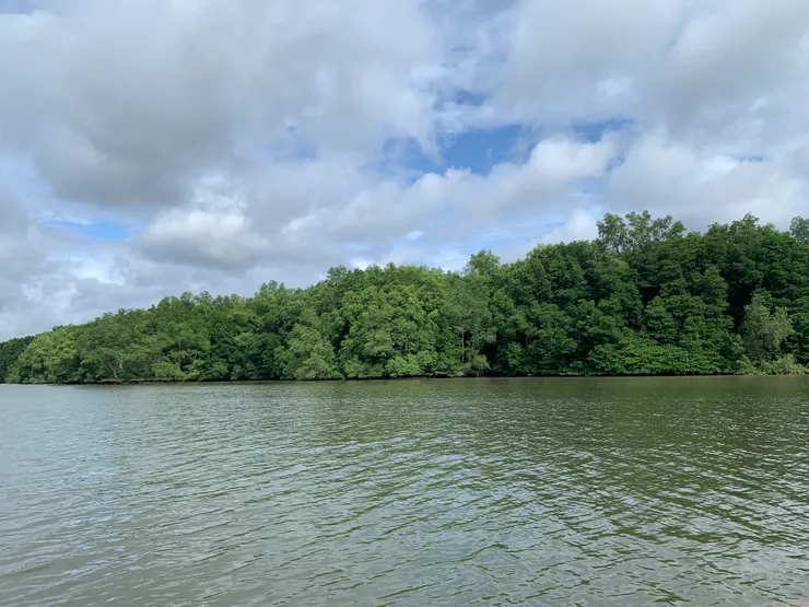 來到叢林地區。