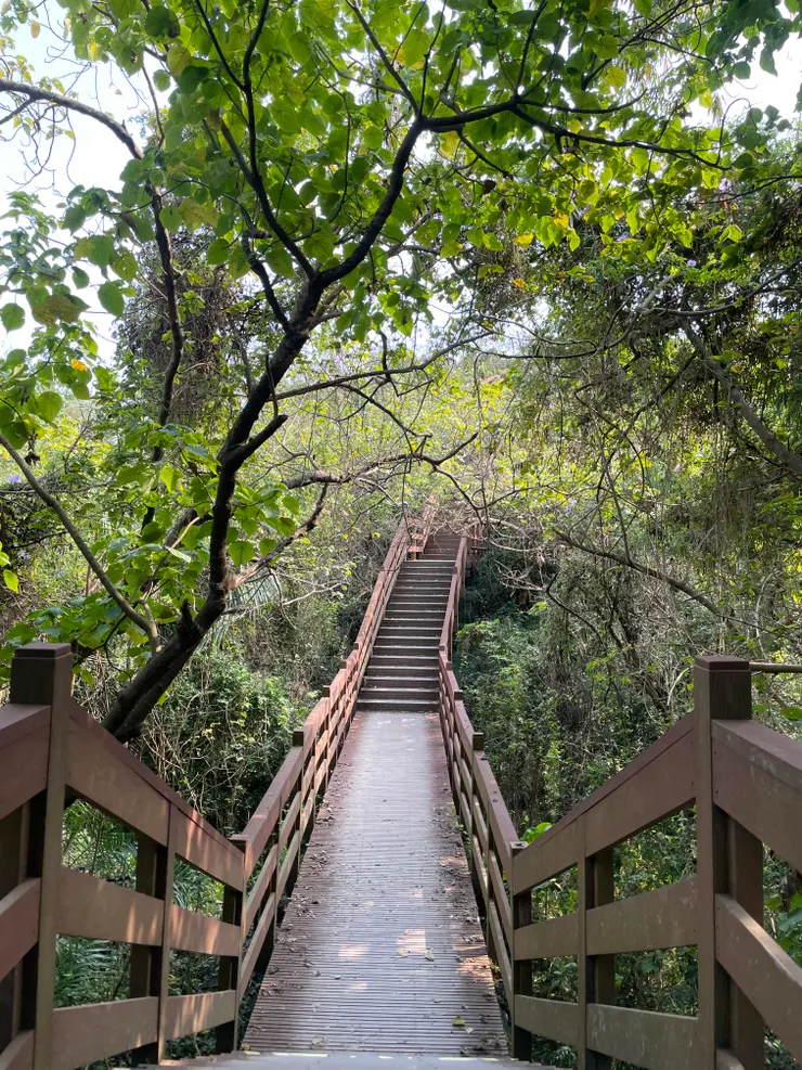 不停的上下階梯，可以稍微運動一下