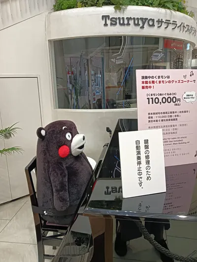 熊本熊本熊，熊本其實沒有熊？！