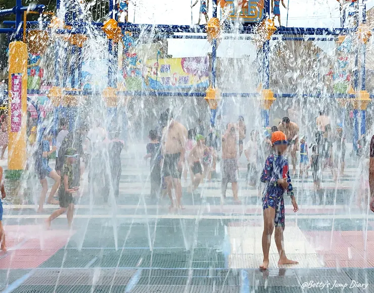 ▲天順大風草液態皂/圖片來源：Betty's Jump Diary