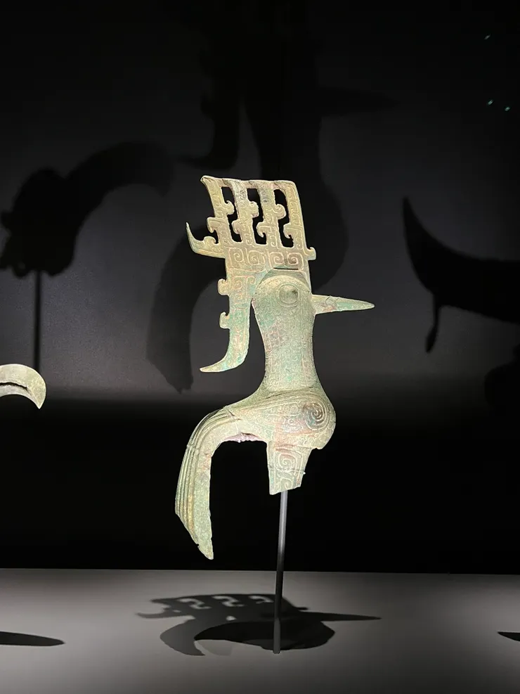 這隻神鳥在2019北京看過