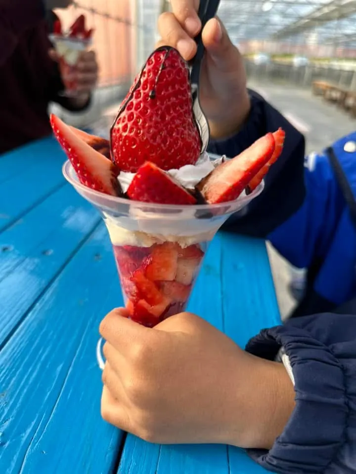 日本草莓比美國🇺🇸草莓好吃很多欸