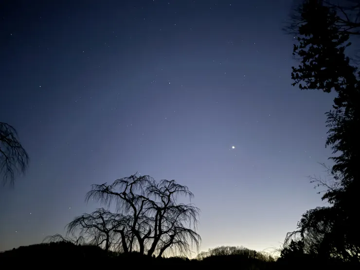 不過星空倒是挺漂亮。