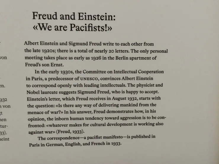 佛洛伊德與愛因斯坦