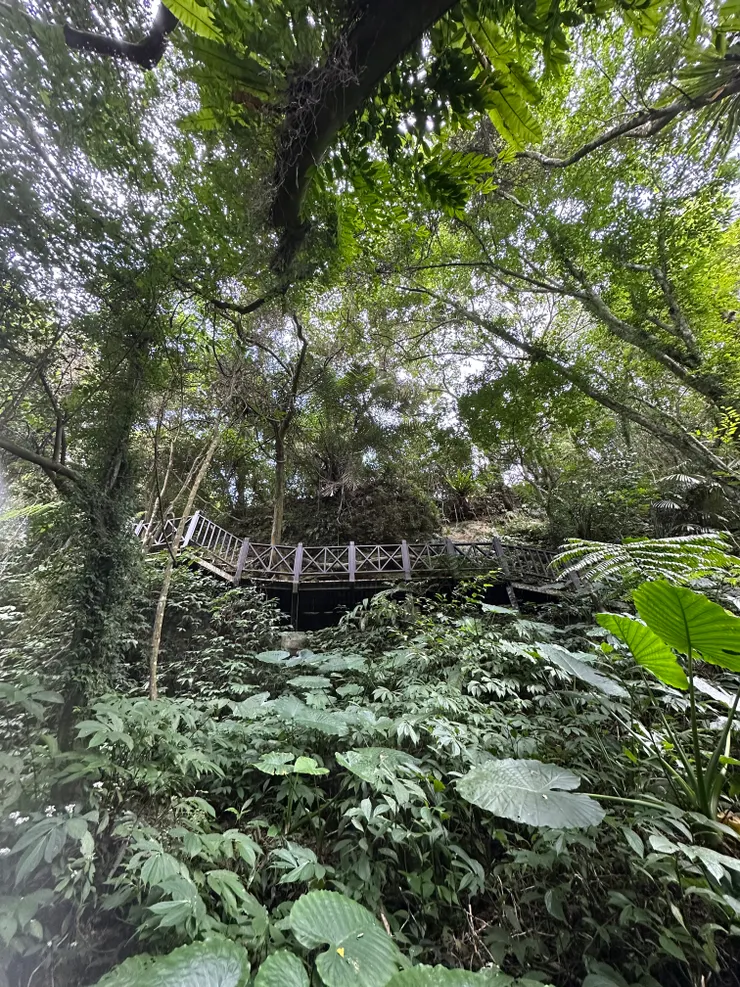 照片比實際感受好看XD