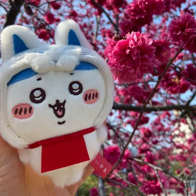 吃(´▽｀)可敵國的沙龍