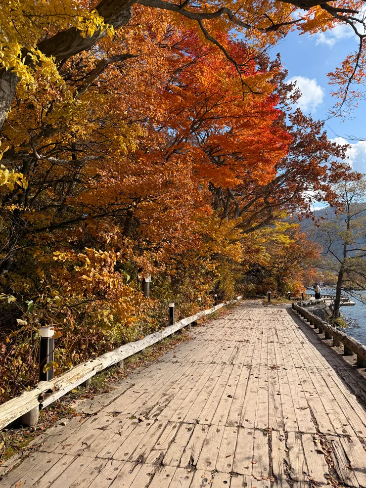 十和田湖旁步道