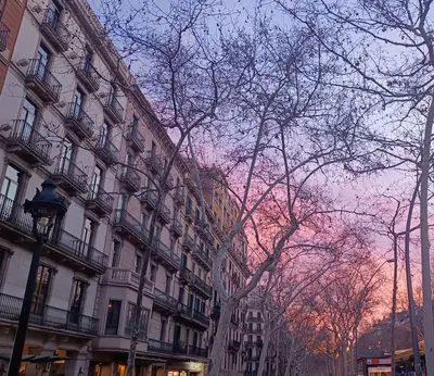 是你複雜了我的單純-在愛情的汪洋中要做好隨時下船的準備