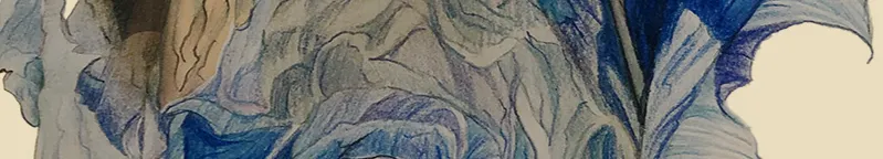 戴花小攻橘的沙龍