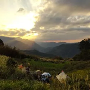 然希的微光星球的沙龍