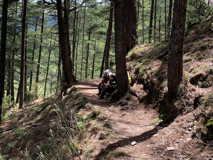 古道上的布農族協作