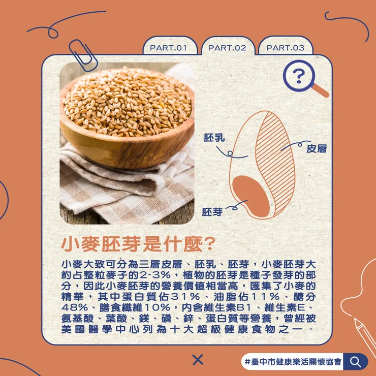 PART.2小麥胚芽是什麼?
