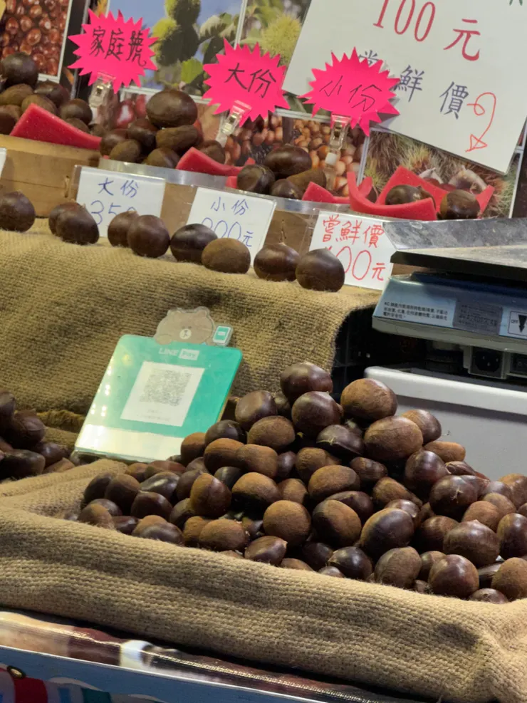 2026/03/01 大栗子