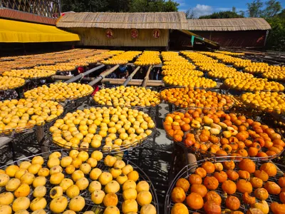 今日事、今日畢