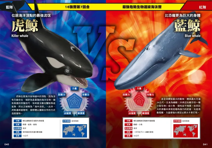 海洋動物對決，虎鯨對上藍鯨｜《最強戰鬥１：超危險生物大戰圖鑑》｜小角落文化出版