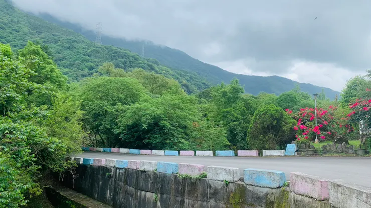 想不到民宿藏在這條路上。