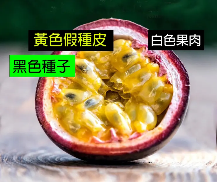 百香果香味之謎