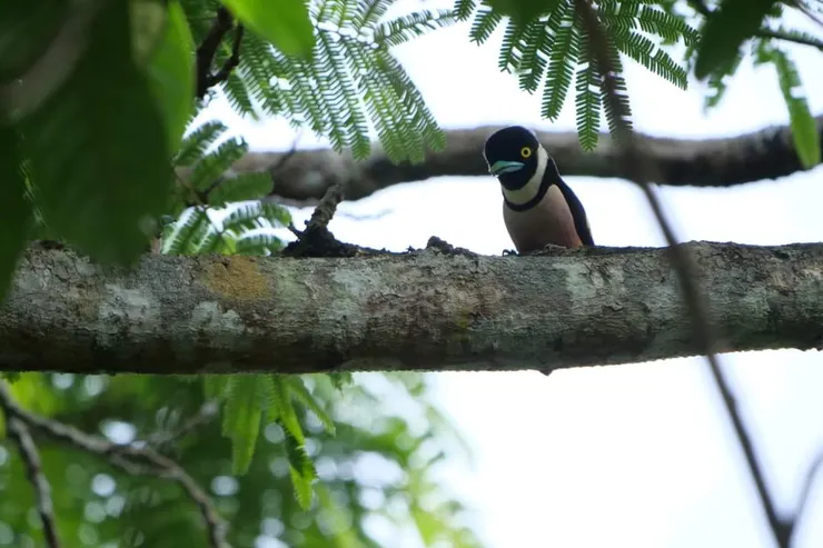 什麽角度也是可愛