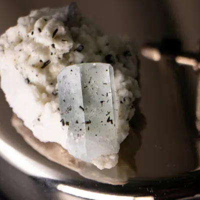 Lorna Wen's Collection