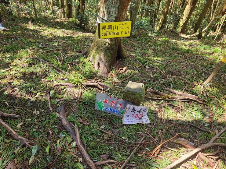 長壽山，旁有竹子椅
