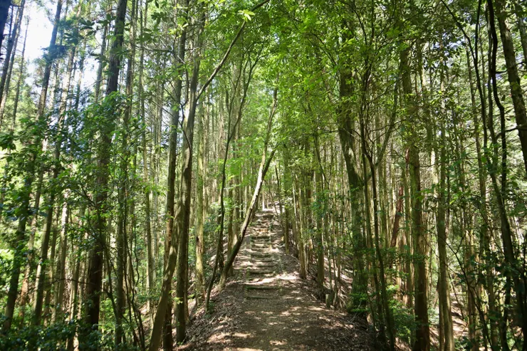 路段開始增加淺階梯