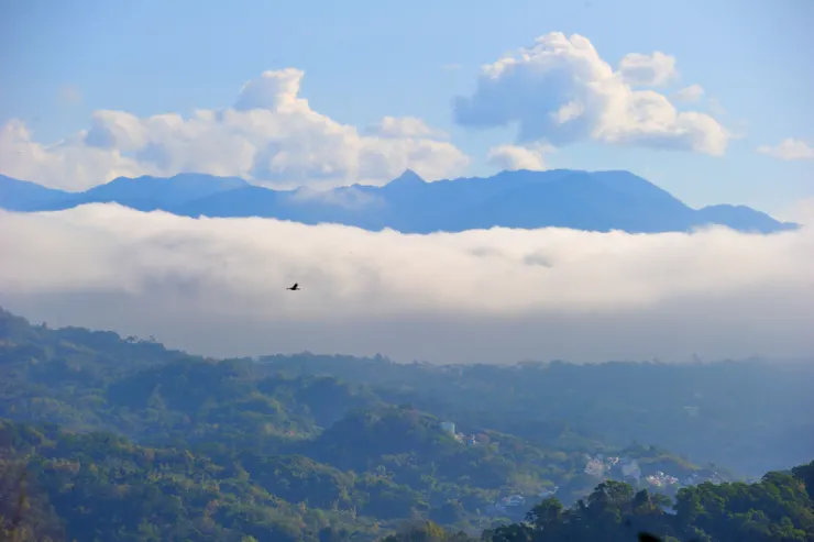 【果然群山隱約層疊鳶嘴浮出雲海】