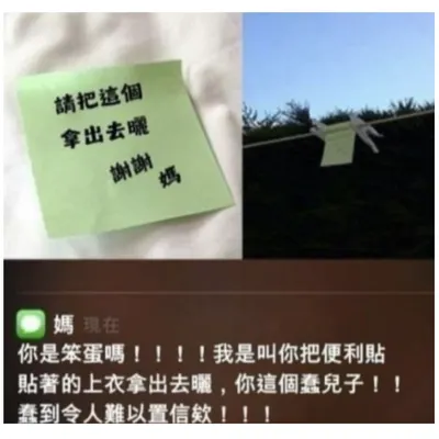 智商別說低了，根本是負的吧……