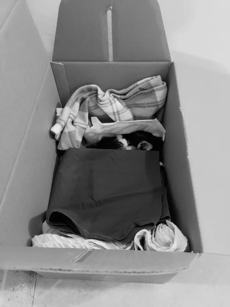 ✨Long live the Queen✨