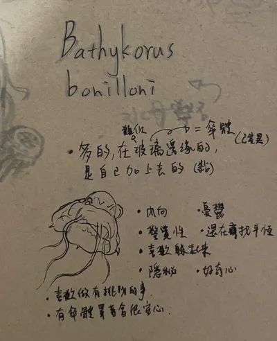 所以我在房間裡吃空氣