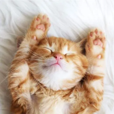 我的平行世界的沙龍