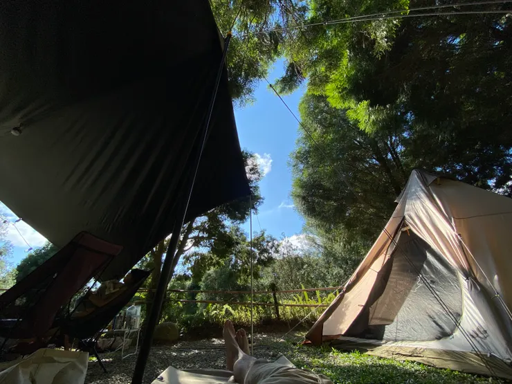 虎皮蛙區，M編直接把行軍床搬出來睡午覺，很愜意舒服